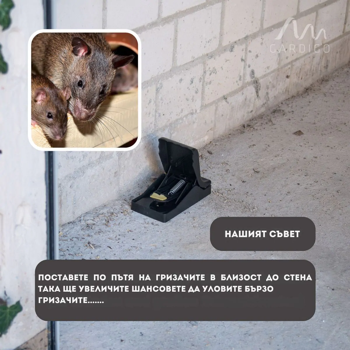 1. Подходящ за поставяне по стени, около отвори, тръби, шахти, мазета, складове и гаражи.