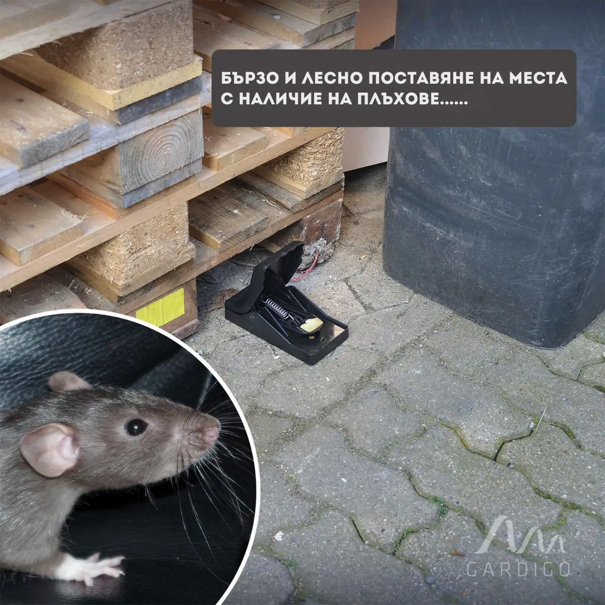 Power Cat е многократно използваем капан за плъхове, мишки и по-едри гризачи.