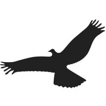 Стикер макет на птица 55см х 25см - Otrovi