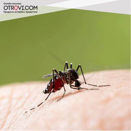 Как да се отървем от комари в дома и на открито?