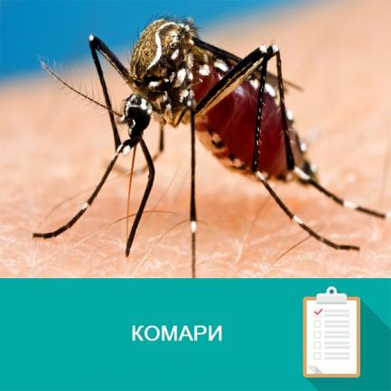 Комари - полезна информация и интересни факти