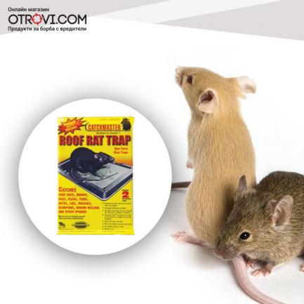 Лепливи капани с дератизационно лепило за мишки