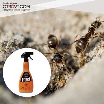 Препарати против мравки