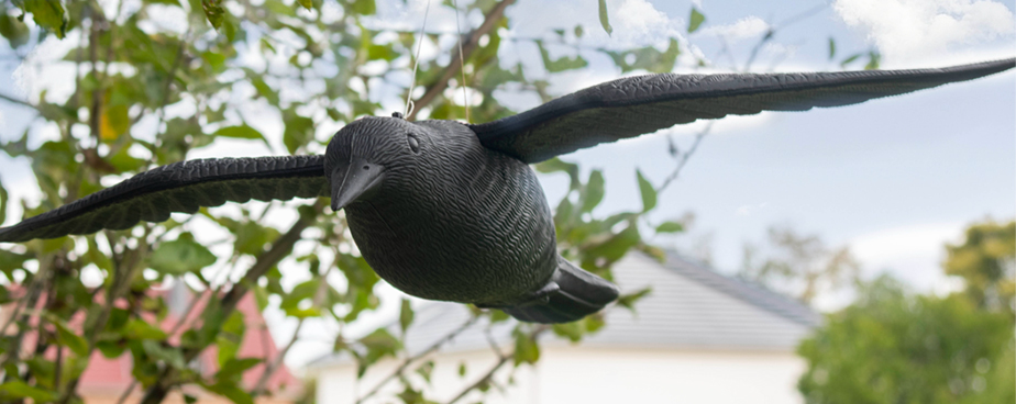 Птицегон плашило за птици и защита на земеделски култури и насаждения