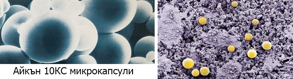 Айкън 10КС срещу дървеници, комари, кърлежи, хлебарки