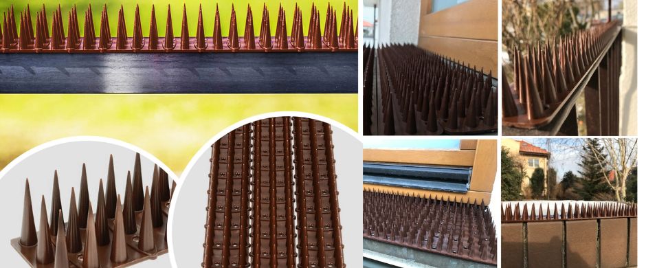 Цветен кафяв шип против птици, гълъби и котки