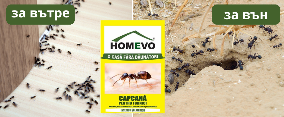 Капан за мравки Homevo
