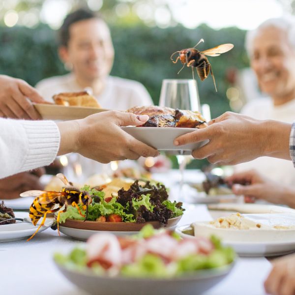 оса около маса