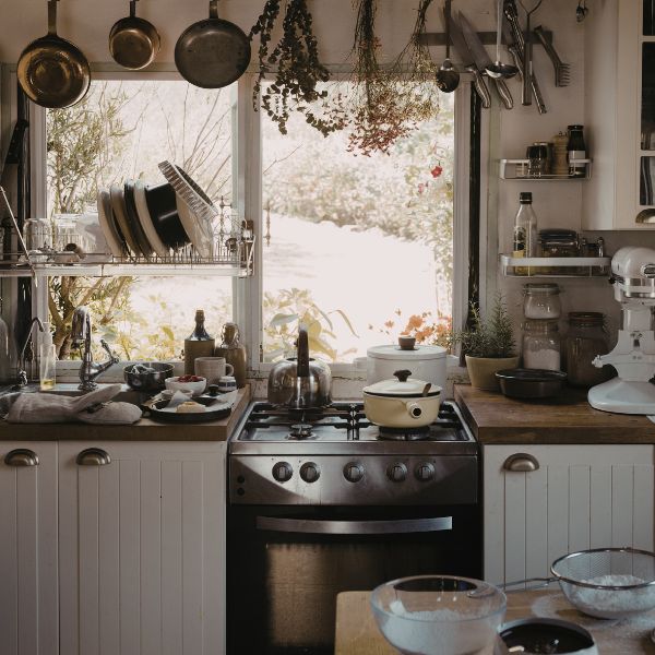 мухи в кухня