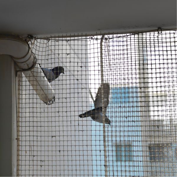 мрежа против гълъби монтирана на тераса