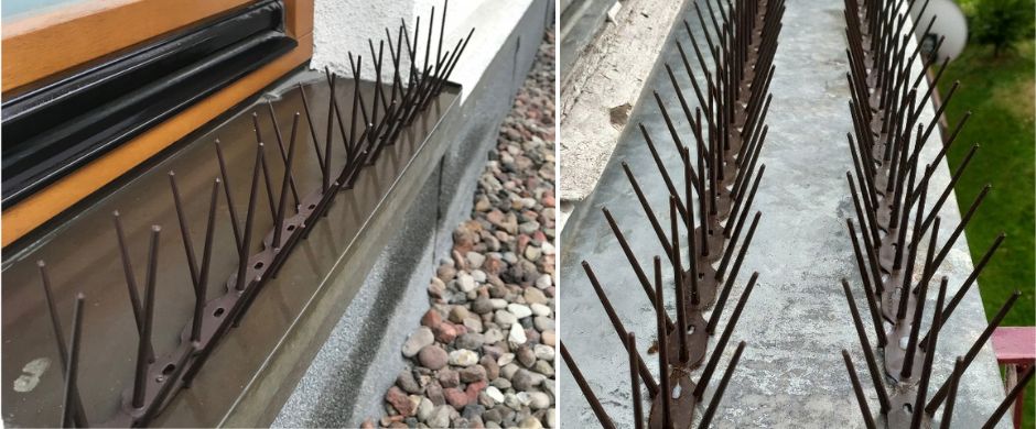 Кафяви шипове против гълъби за красива фасада