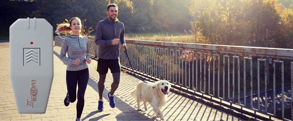 Кучегон dazer