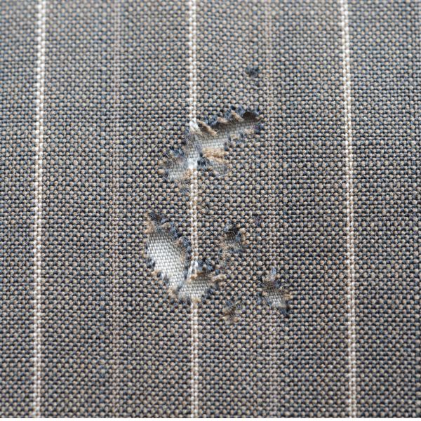 наяден плат от дрешен молец