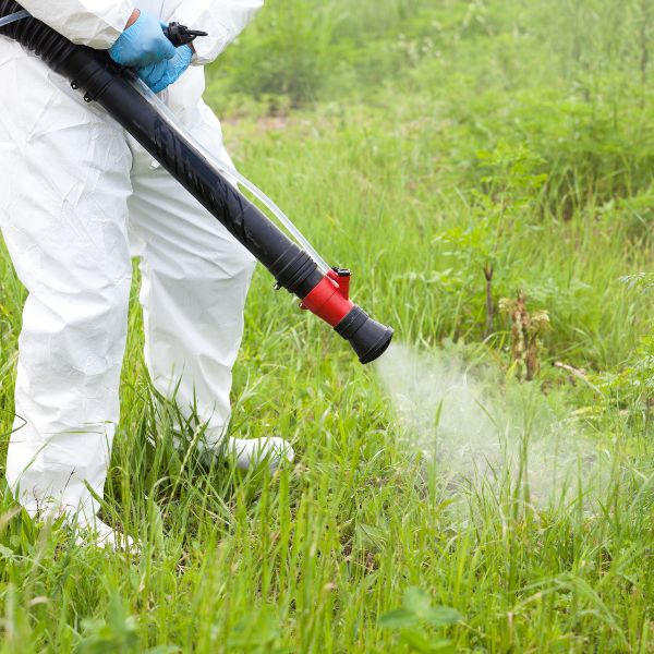 обработка кърлежи