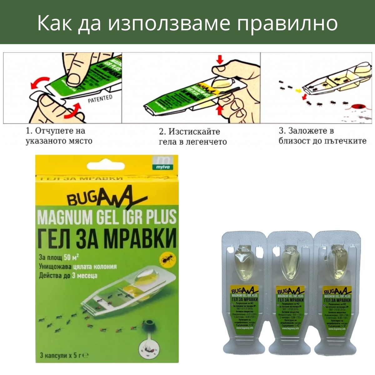 как да заложим правилно магнум гел за мравки