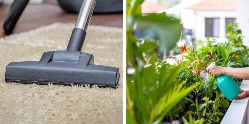 безобастно миризливки