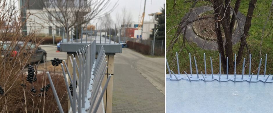 Монтаж на сиви шипове против гълъби