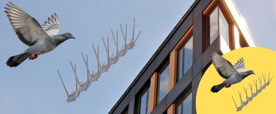 Прозрачни шипове против гълъби-33 см