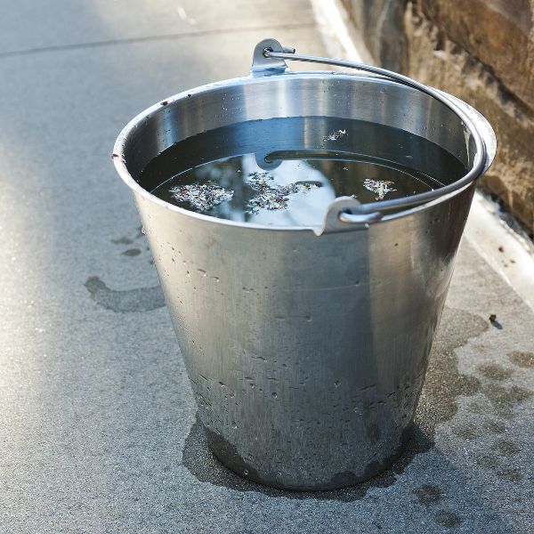 местообитание комари