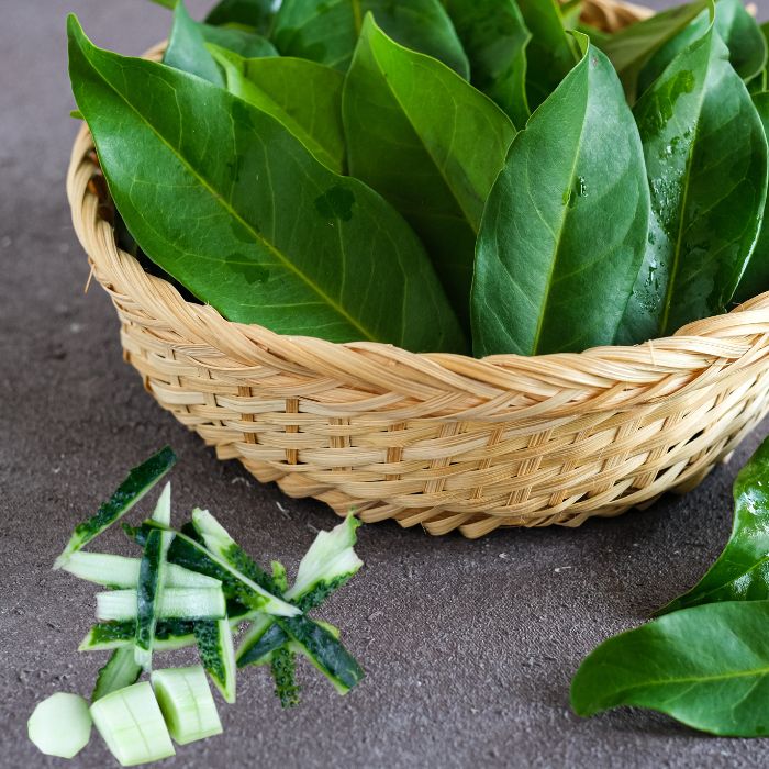 дафинов лист против хлебарки