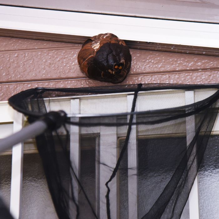  премахване на гнезда на стършели