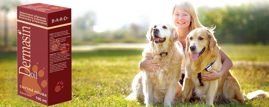 Дерамзин ойл за лечение на кожни инфекции при кучета и котки