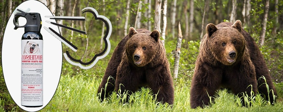 Спрей за защита от нападение на мечки с лютиви съставки