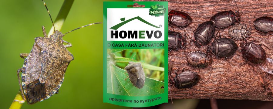 Натурален препарат за растителна защита на растения и култури HOMEVO