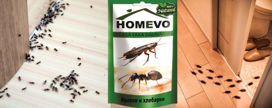Натурален препарат срещу хлебарки и мравки