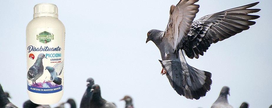 Репелент против гълъби