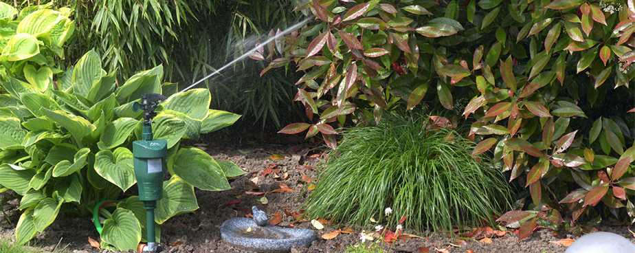 Воден уред за борба с птици в градината и двора