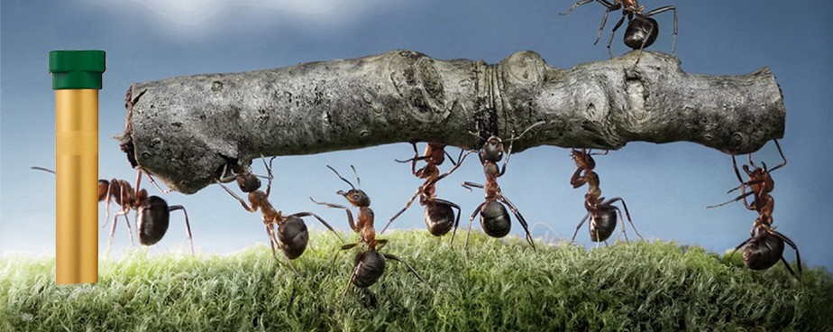 Уреди за защита от мравки