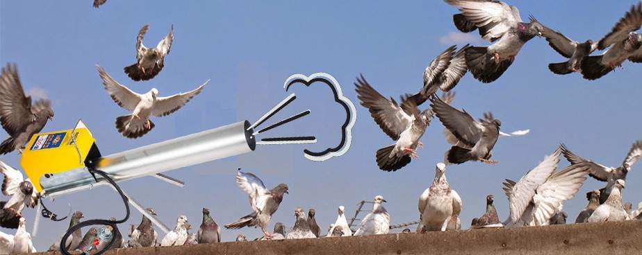 Прогонване на гълъби и птици чрез сплашване от пироефект