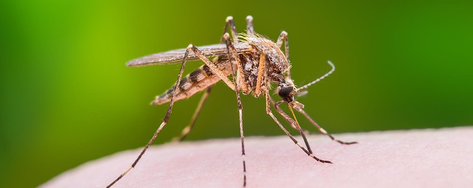 Ефективни средства за защита от комари