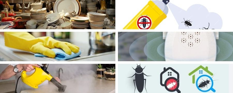 Защита от хлебарки>>как да почистим и какъв препарат да изберем за да унищожим хлебарките 