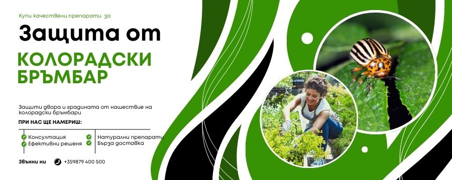 Защита от колорадски бръмбар>>препарати>>топ цени