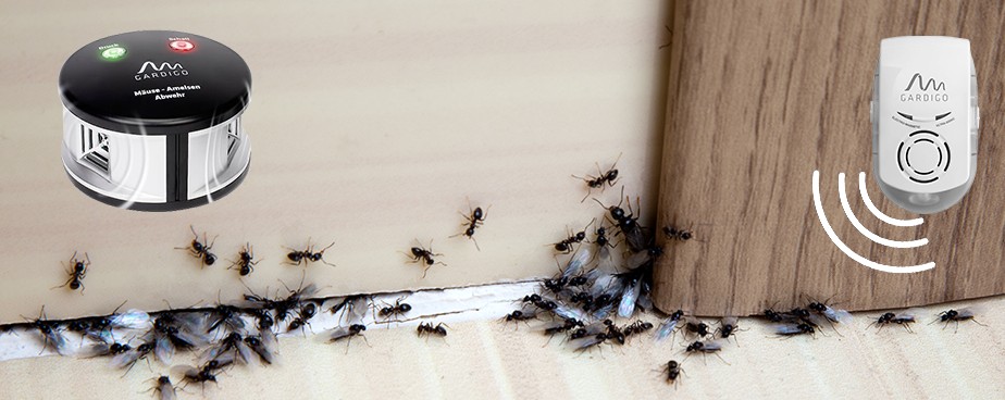 Уреди против мравки