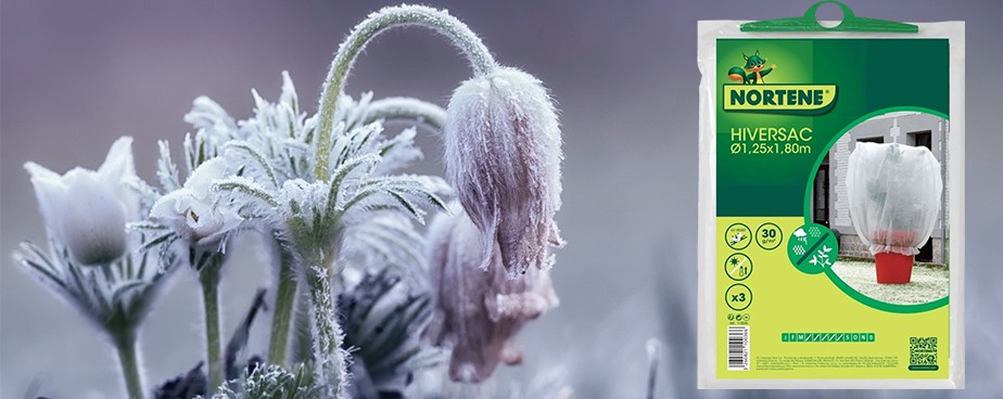 Зимни покривала за растения - Изображение 2 — Otrovi.com