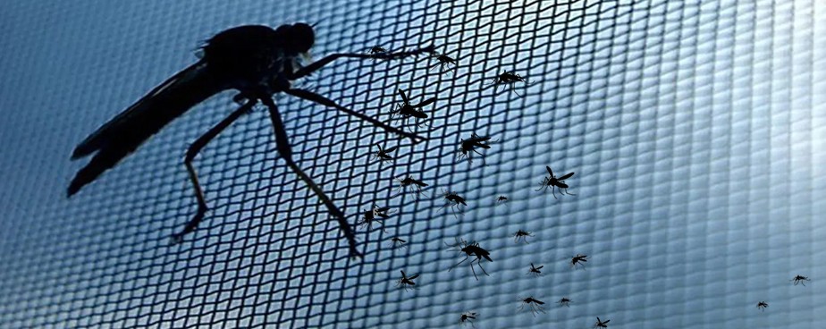 Мрежи за комари