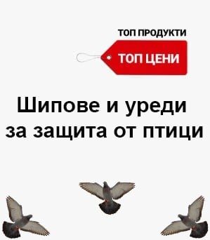 Шипове против птици