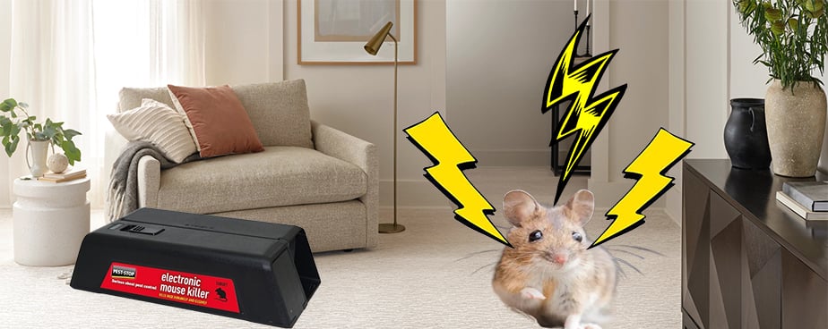 Електронен капан за унищожаване на мишки на ТОП ЦЕНА