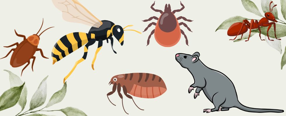 видове вредители в България