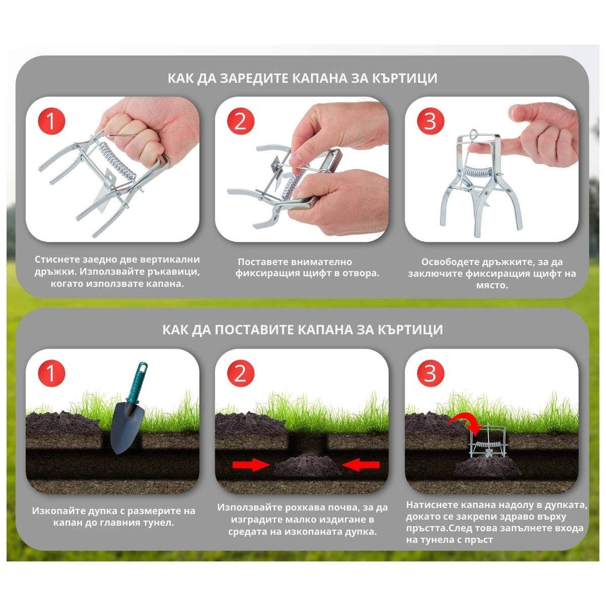 Зареждане и поставяне на капан за къртици и сляпо куче