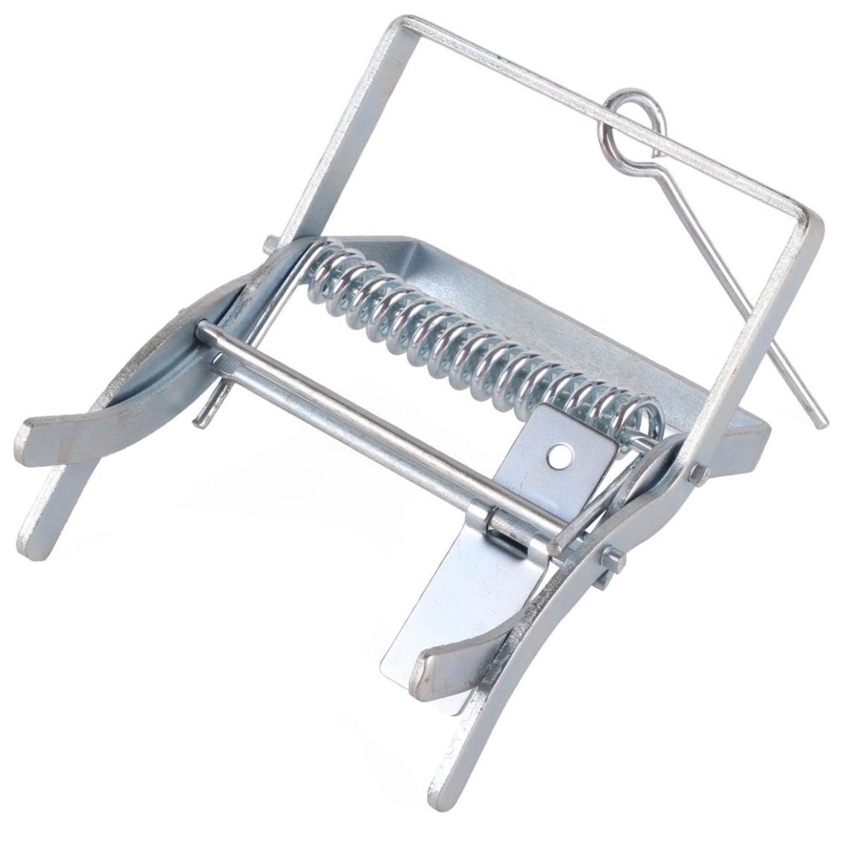 Правилно поставяне на капан за къртици в активен подземен тунел