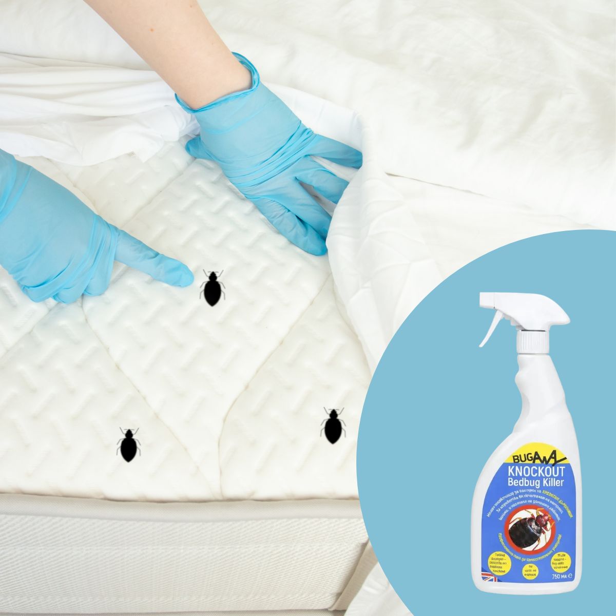 безопасност при пръскане срещу дървеници с Knockout Bedbug Killer