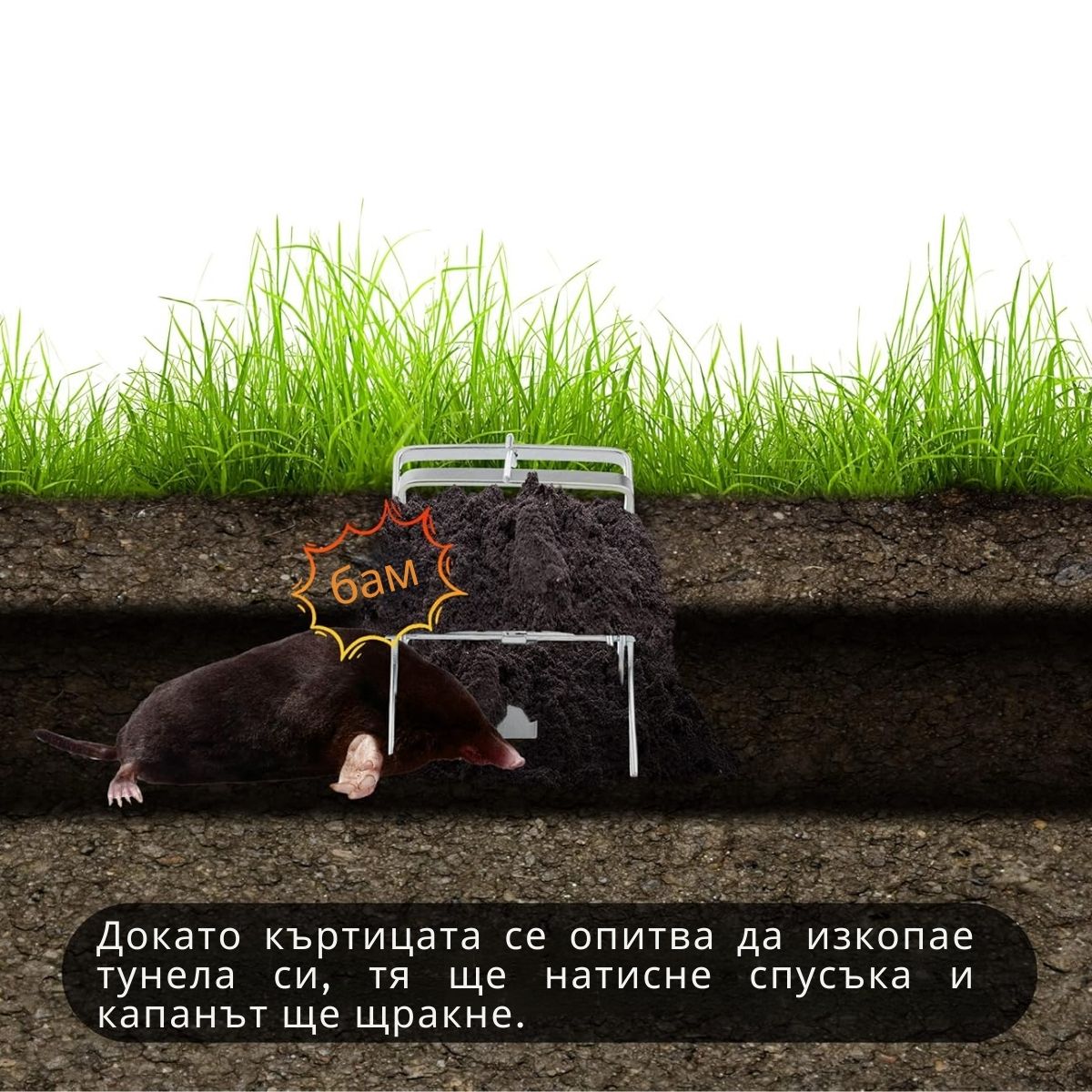 Зареждане на челюстен капан за къртици ръчно или с крак